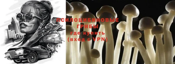 гидропоника Абдулино