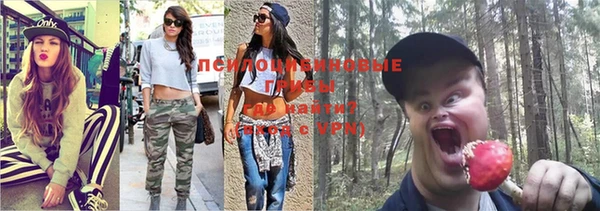 герыч Россошь