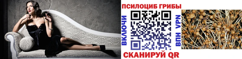 Галлюциногенные грибы MAGIC MUSHROOMS  MEGA ссылки  Нерчинск  купить закладку 